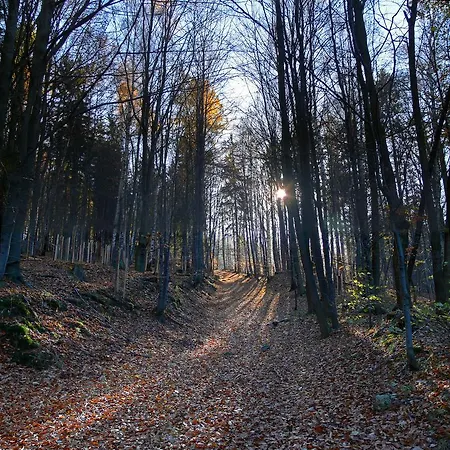 Hébergement de vacances Zacisze Pod Smielcem Jagniątków