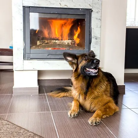 Zacisze Pod Smielcem Ferienhaus Jagniątków