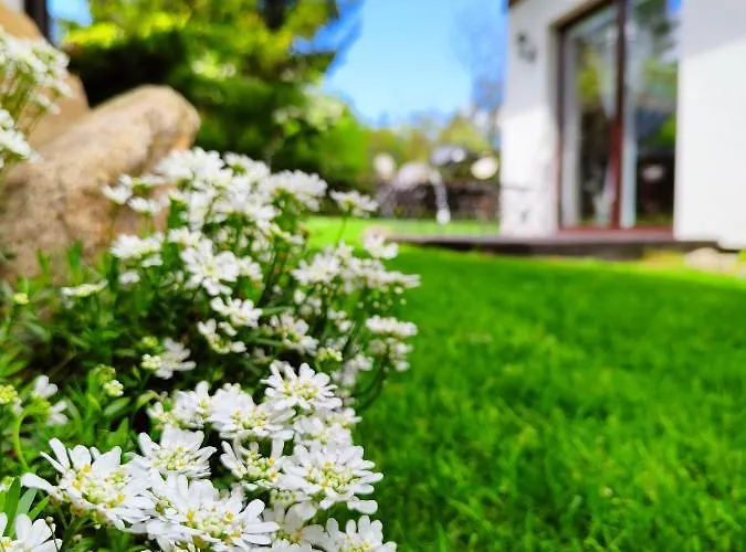 Zacisze Pod Smielcem 別荘 Jagniątków