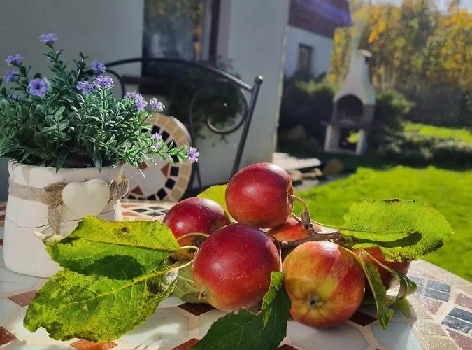 Prázdninový dům Zacisze Pod Smielcem