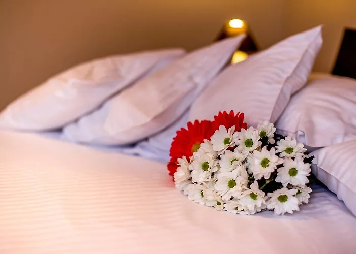 Zacisze Pod Smielcem 別荘 *